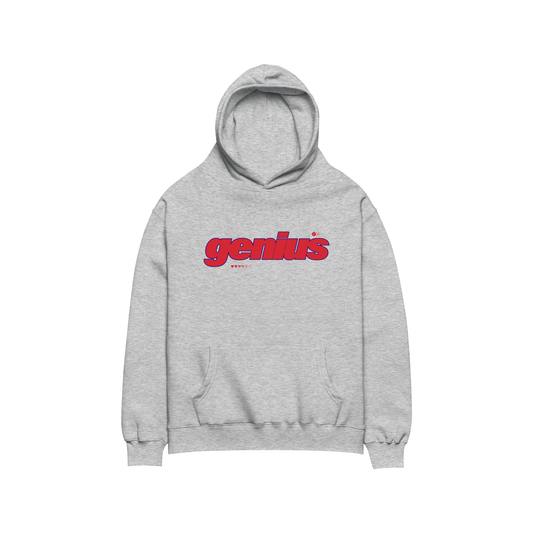 Genius Hoodie (Grey/Red)