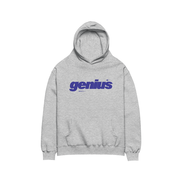 Genius Hoodie (Grey/Blue)